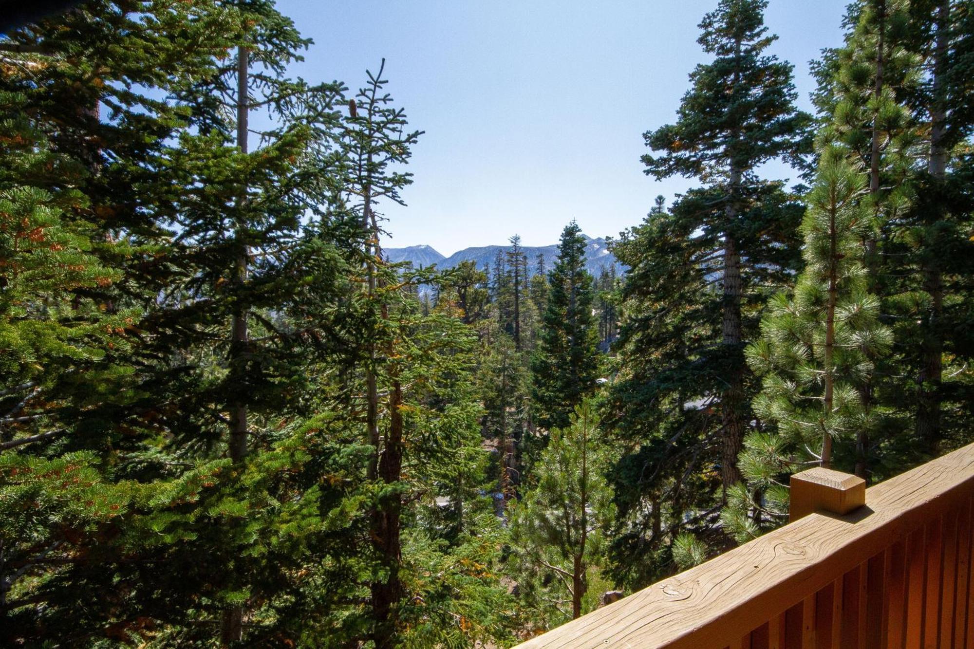 Vakantiehuis Mammoth & Racquet Club #55, Pet Friendly *